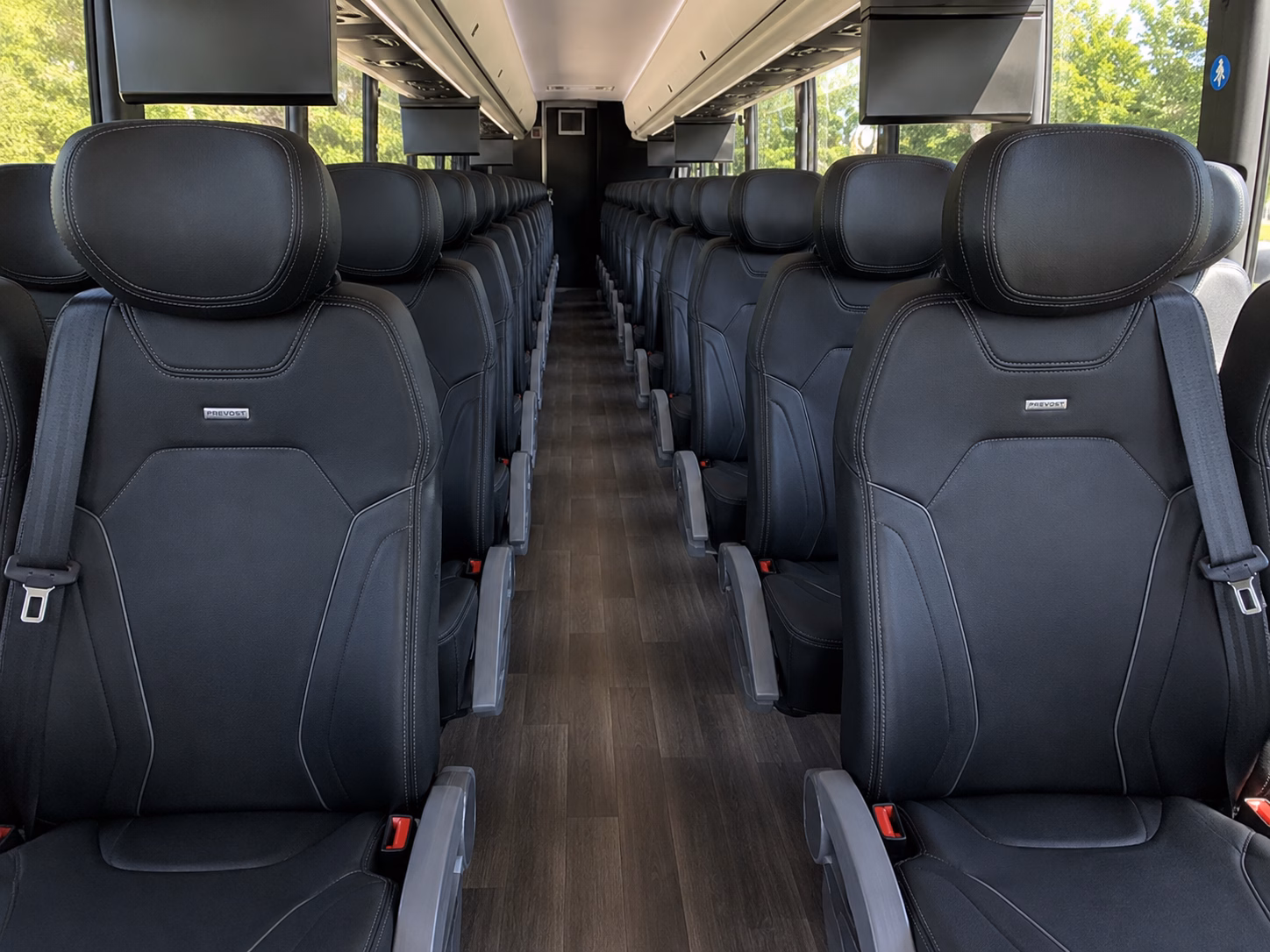 mcallen charter bus tours to palo alto battlefield national historical park and carlsbad caverns national park
