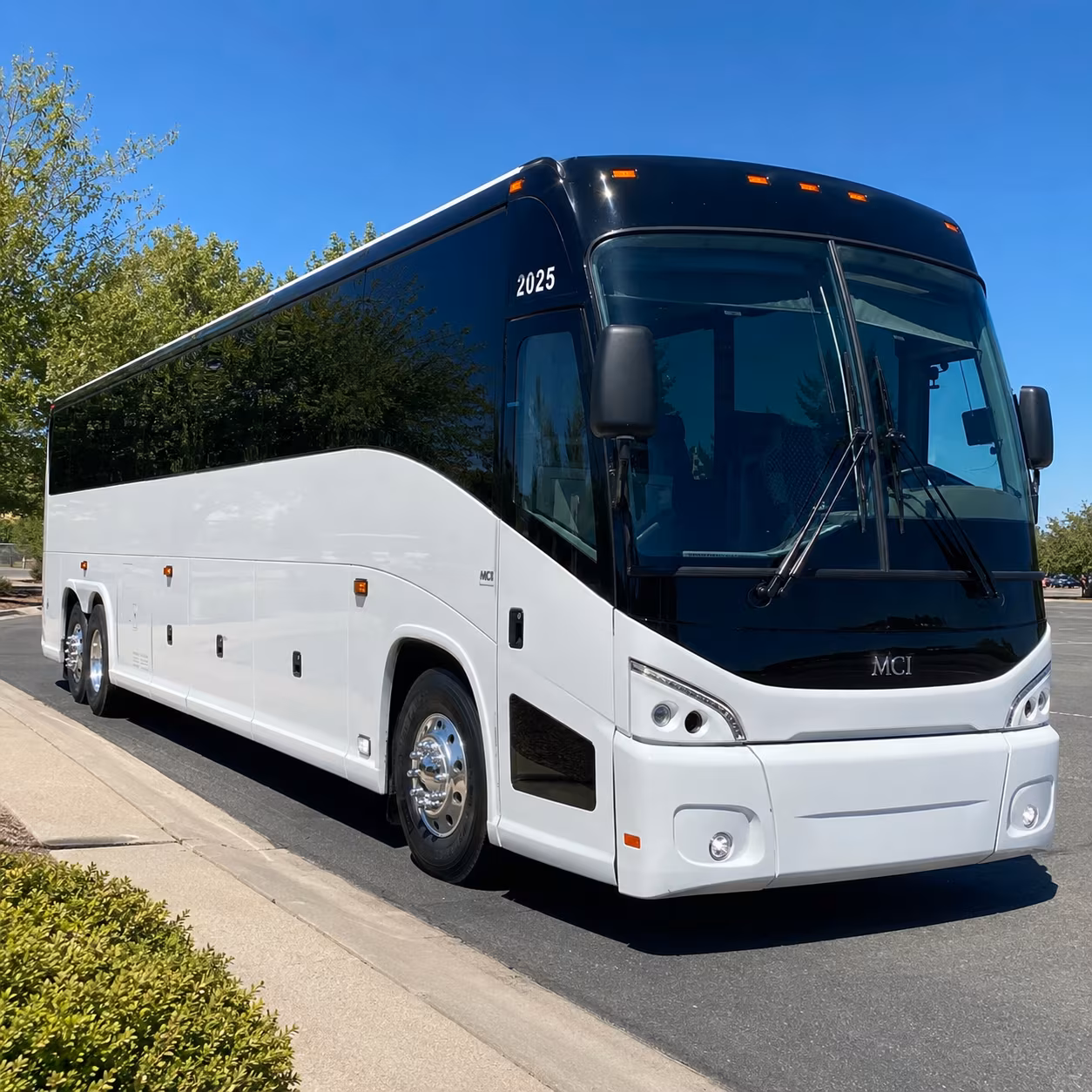 mcallen charter buses